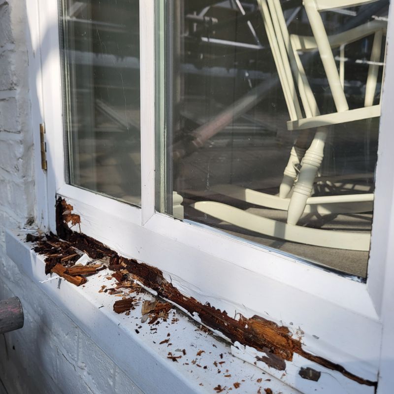 Rotted Window Repair